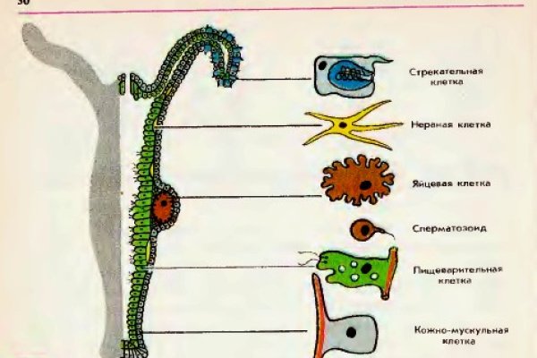 Кракен сайт бошки