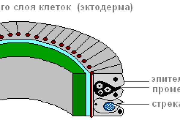 Рабочий кракен