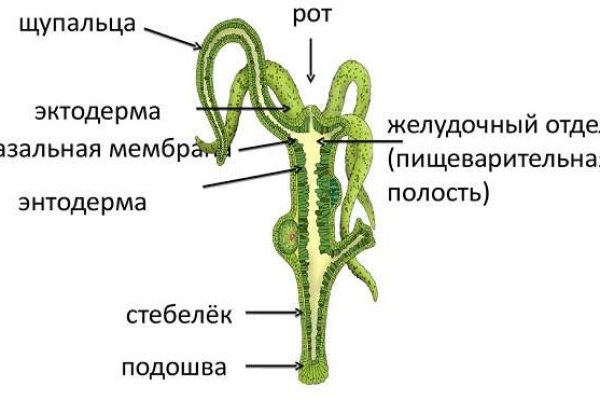 Кракен ссылка 25